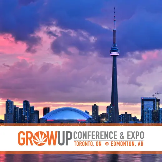 WordPress Development