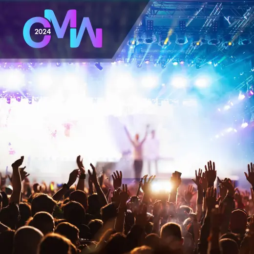 WordPress Development