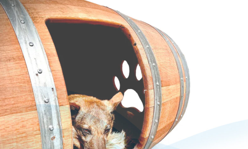 HundetrainerausbildungOnline.de – A ScalableShopify Dog Training Platform Built for Growth