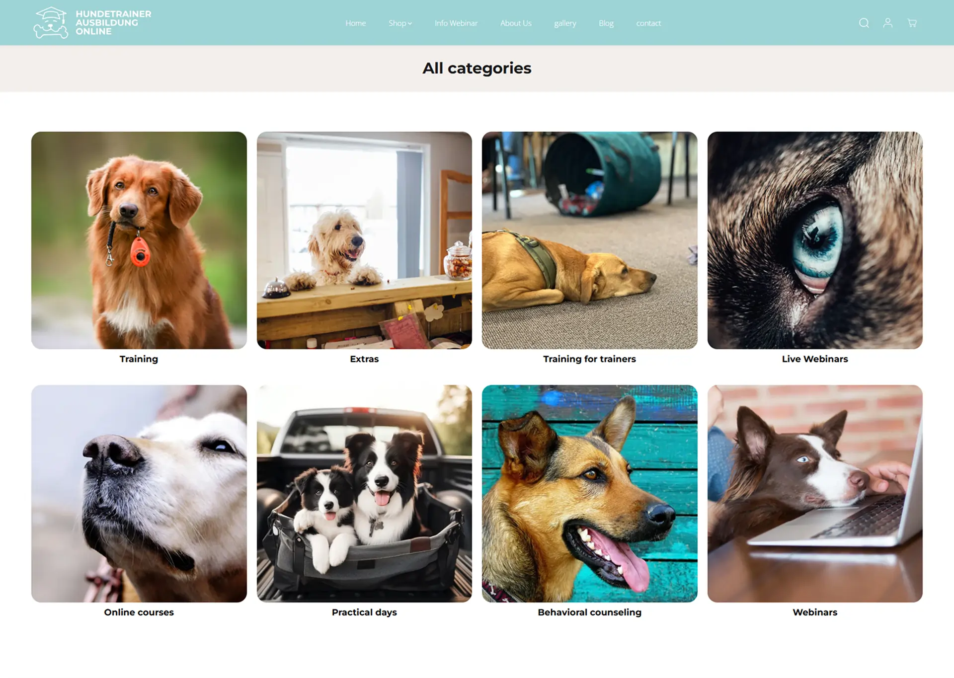 HundetrainerausbildungOnline.de – A ScalableShopify Dog Training Platform Built for Growth