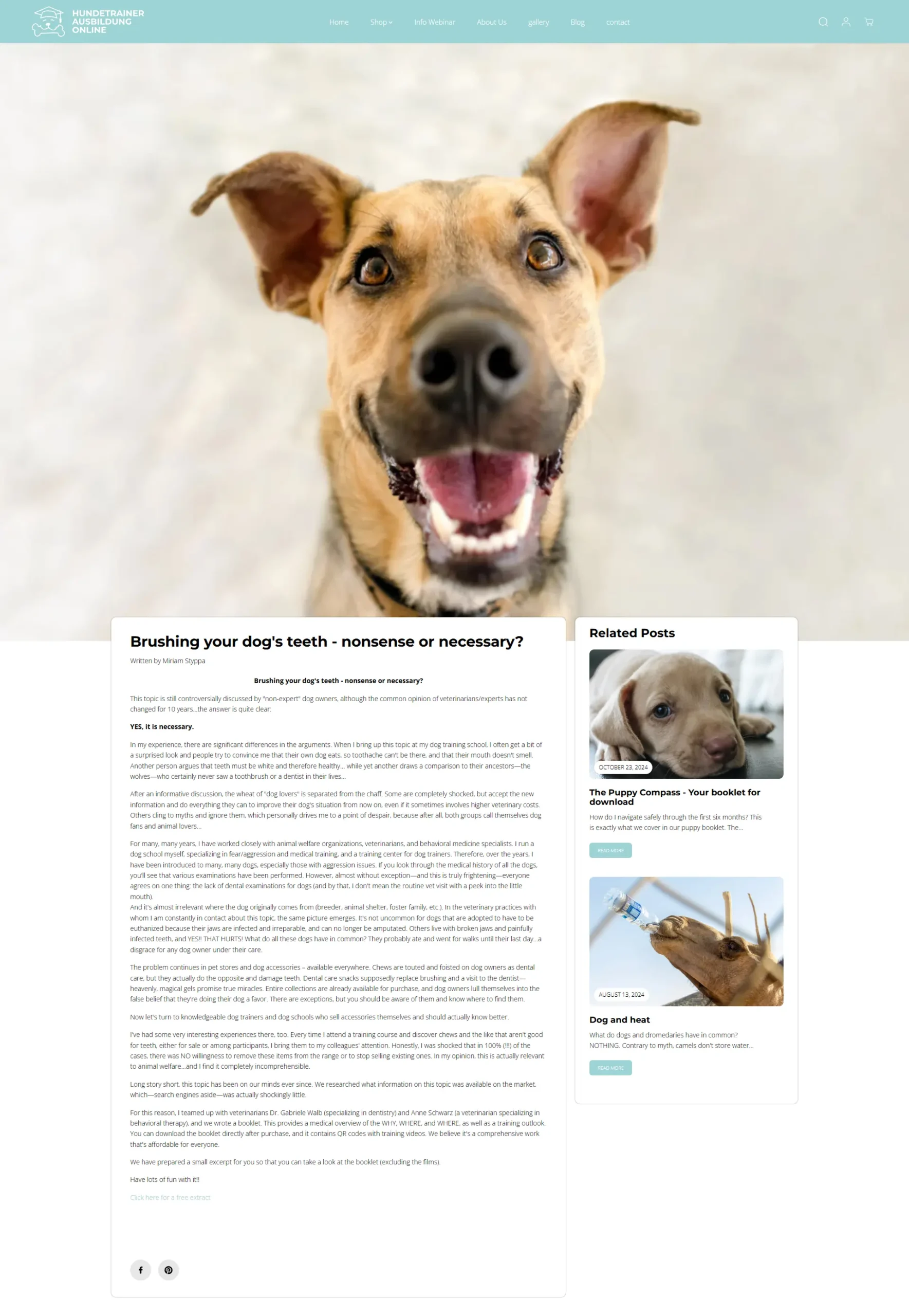 HundetrainerausbildungOnline.de – A ScalableShopify Dog Training Platform Built for Growth