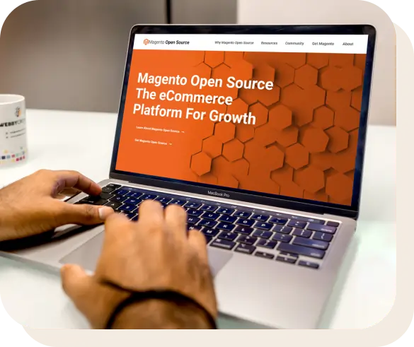Magento Migration Services: What We Do